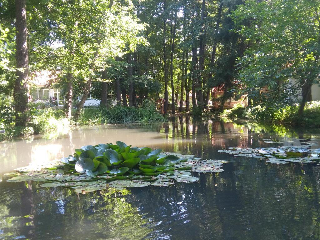 Hotel Holiday Park Ranchoto Kirkovo  Esterno foto
