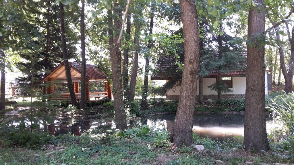 Hotel Holiday Park Ranchoto Kirkovo  Esterno foto
